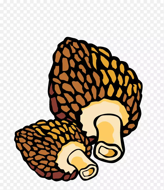 ��ͨ�ֻ��߲�װ�κ������-������