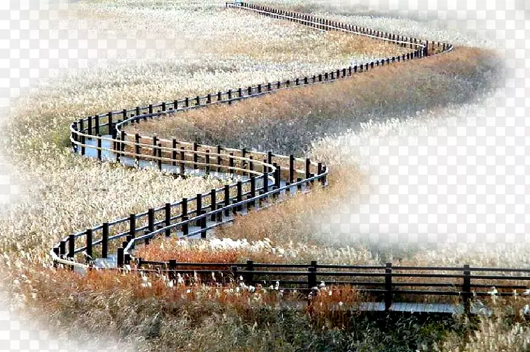 ��������·�ز�-������