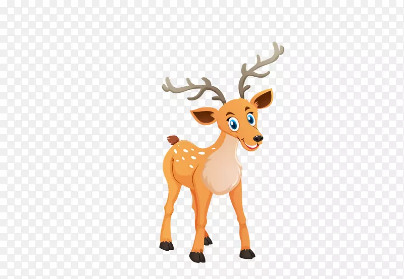 ��ͨ�ɰ�С����װ�ζ���ͷ��-������