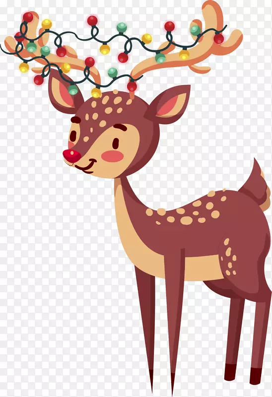 ��ͨ�ɰ�С����װ�ζ���ͷ��-������