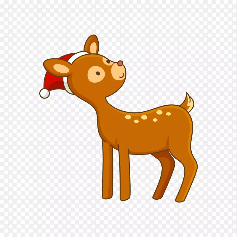 ��ͨ�ɰ�С����װ�ζ���ͷ��-������