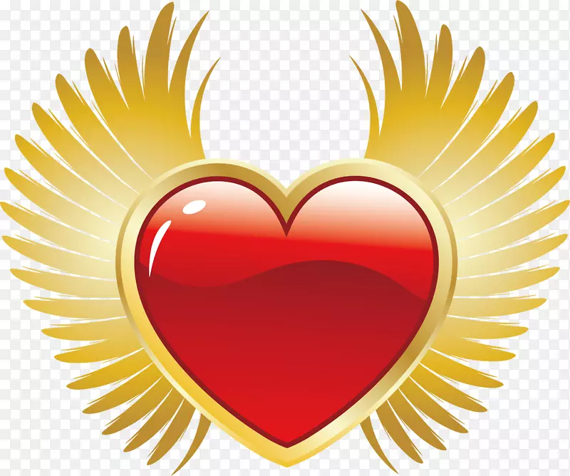 ��ɫ�����-������