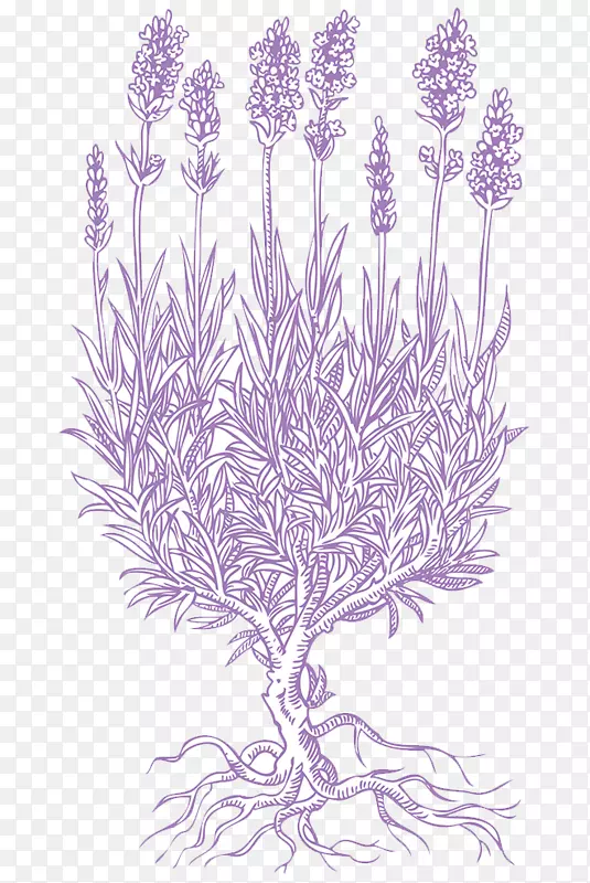 ����޹�²�-������