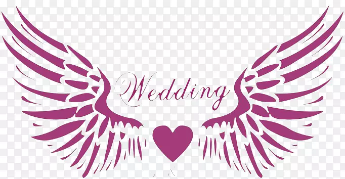 ��ʹ�ĳ��-������