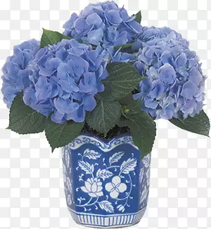 ��������ʸ�������ز�-������