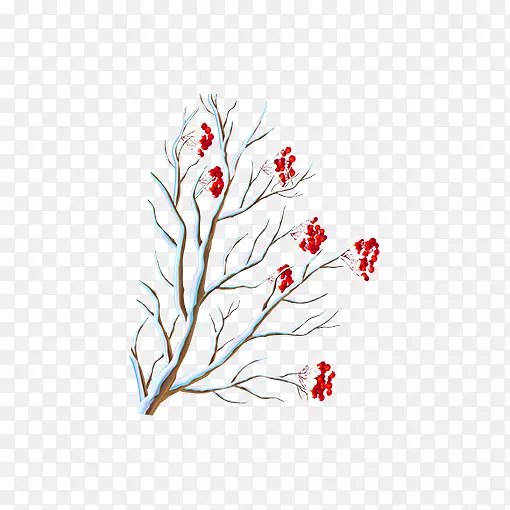 ���䶬����ɫ��֦-������