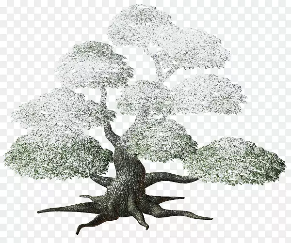 ��-������