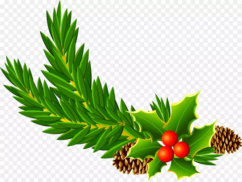 ��ɫ�����ɹ���֦-������