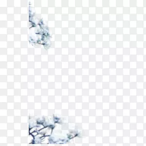 Ư����֦-������