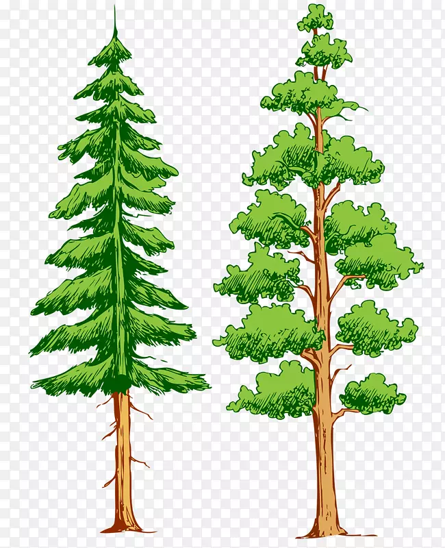 ���ò������-������