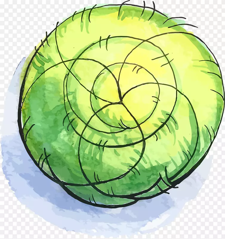 ���տ�ͨС����װ�β廭������-������