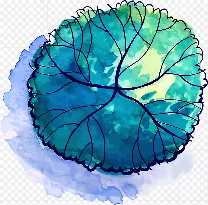 ���տ�ͨС����װ�β廭������-������