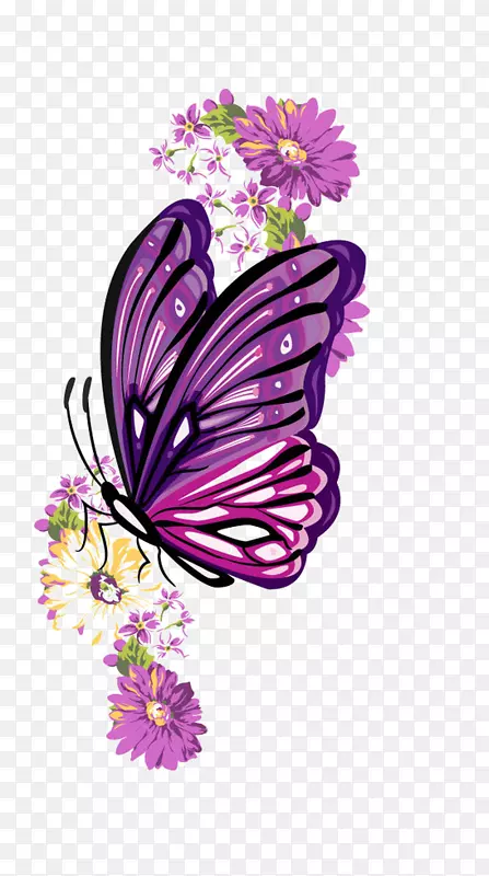 ��ͨ�ֻ����ĺ���-������