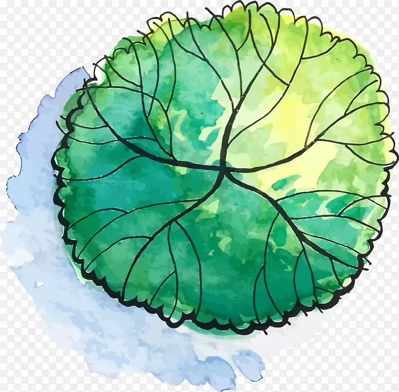 ���տ�ͨС����װ�β廭������-������