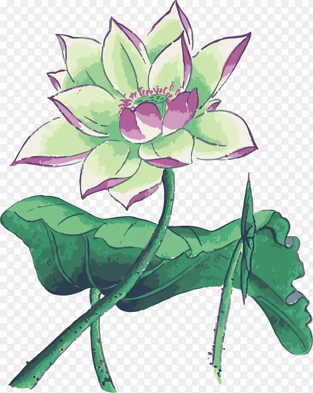 ˮ�ʻ�����-������