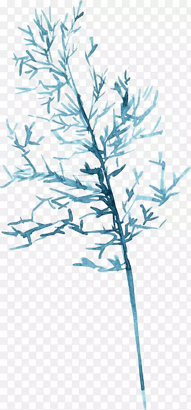 �ֻ�ˮ�ʰٺ�-������