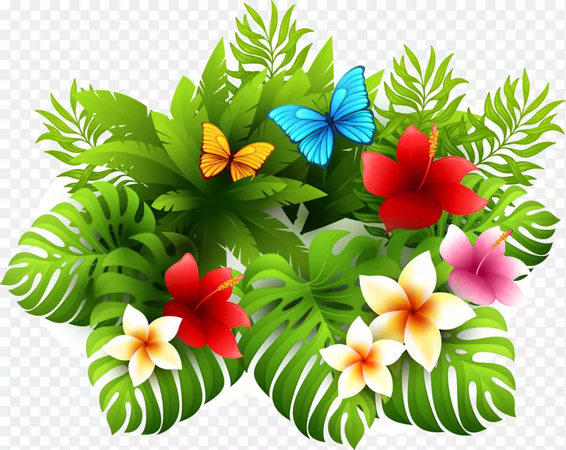 ������»���-������