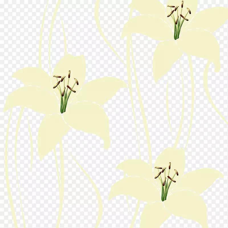 �ٺϻ��Ʊ����ز�-������