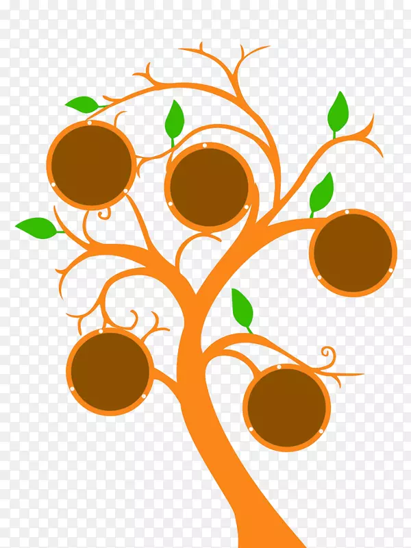 ��ɫ����-������