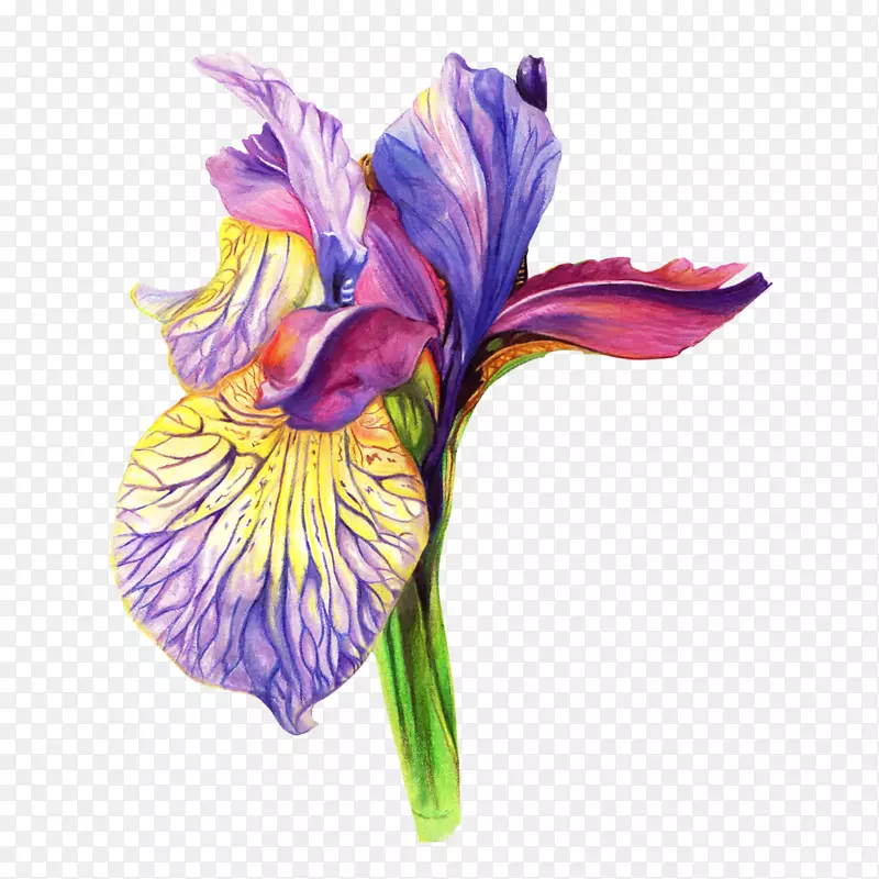 �ֻ�ˮ�ʶ�ʻ���-������