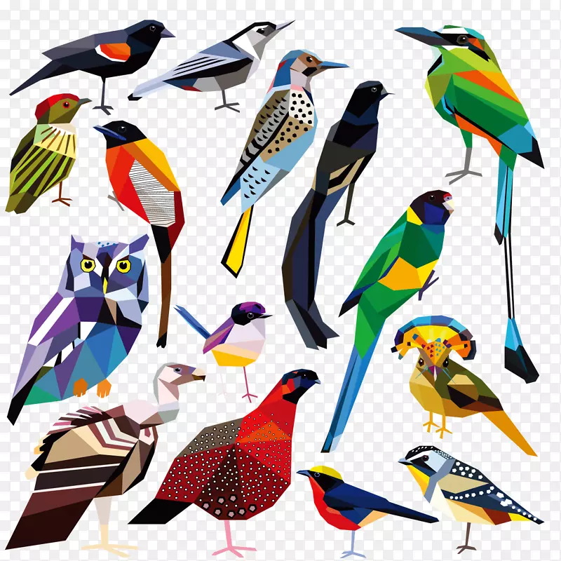 ��ɫ��ü��-������