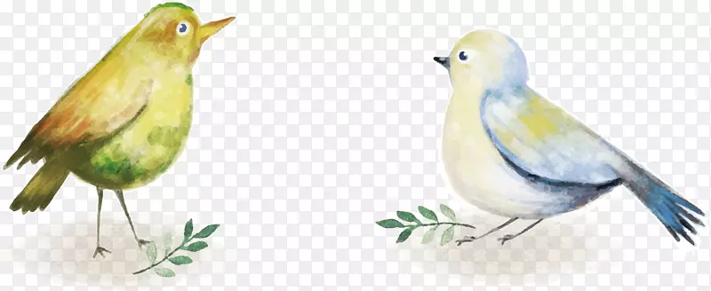 ʸ����ü���ز�-������