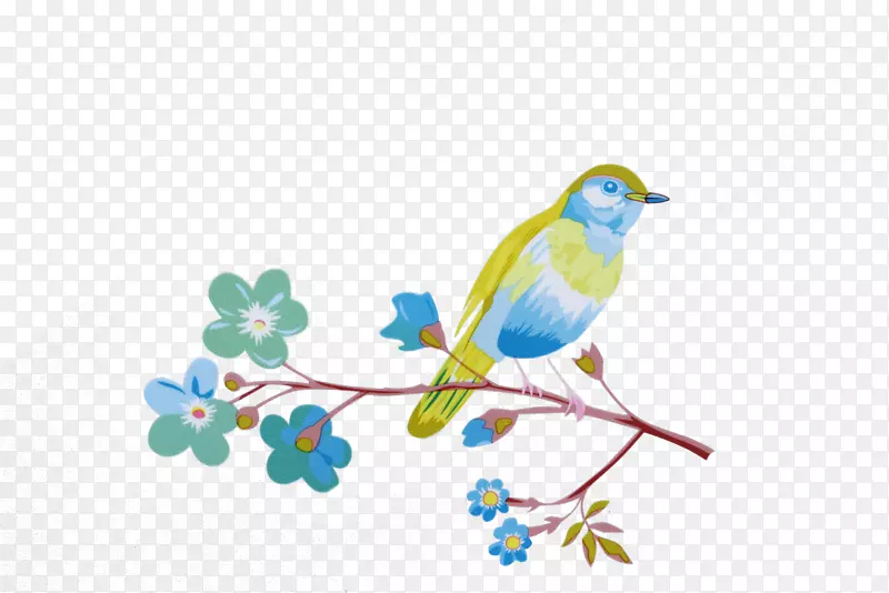 ����С��-������