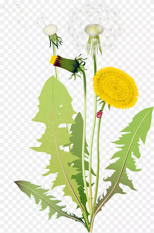 �ֻ濨ͨ�ѹ�Ӣ-������