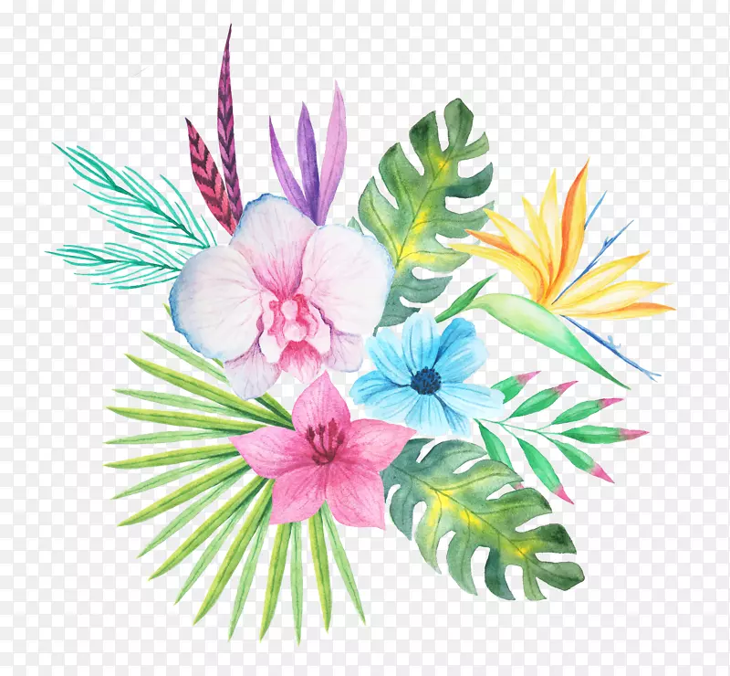 ����ֻ滨���ز�-������