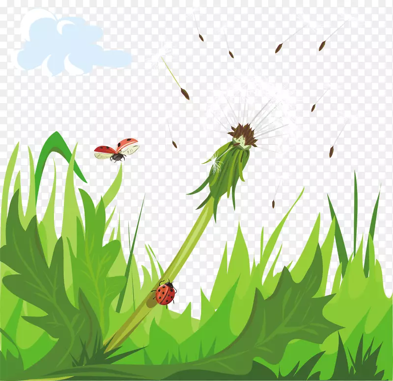 ʸ����ɫ�ѹ�Ӣ����-������