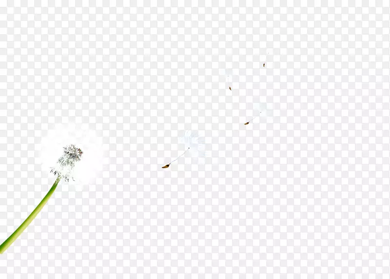 ��ɫ�ѹ�Ӣ-������