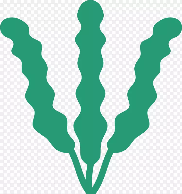 �Գ�����ɫʸ������-������