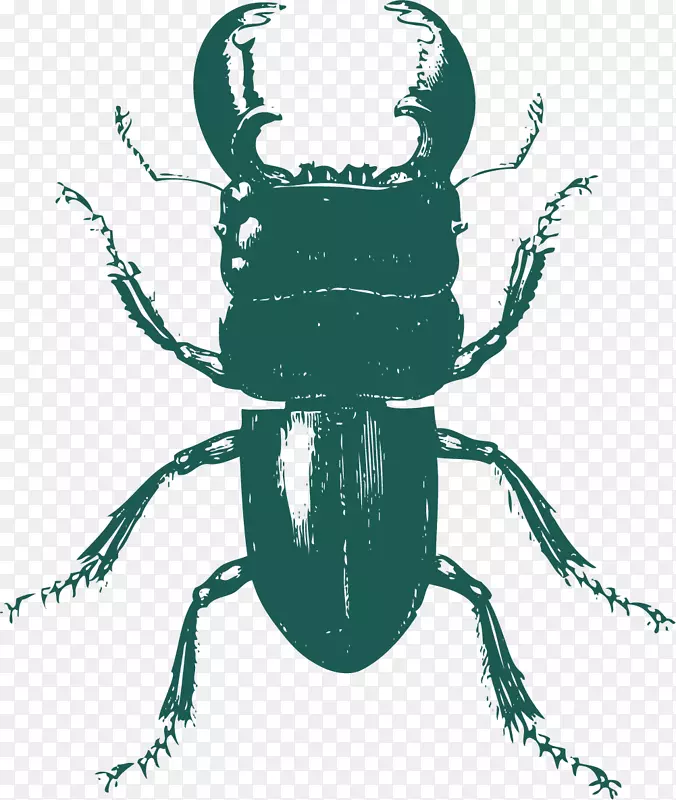 ����ɫ�ֻ���ţ-������