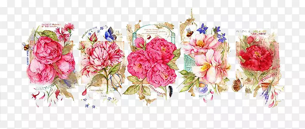 ���Ŵ����ز���ͼ-������