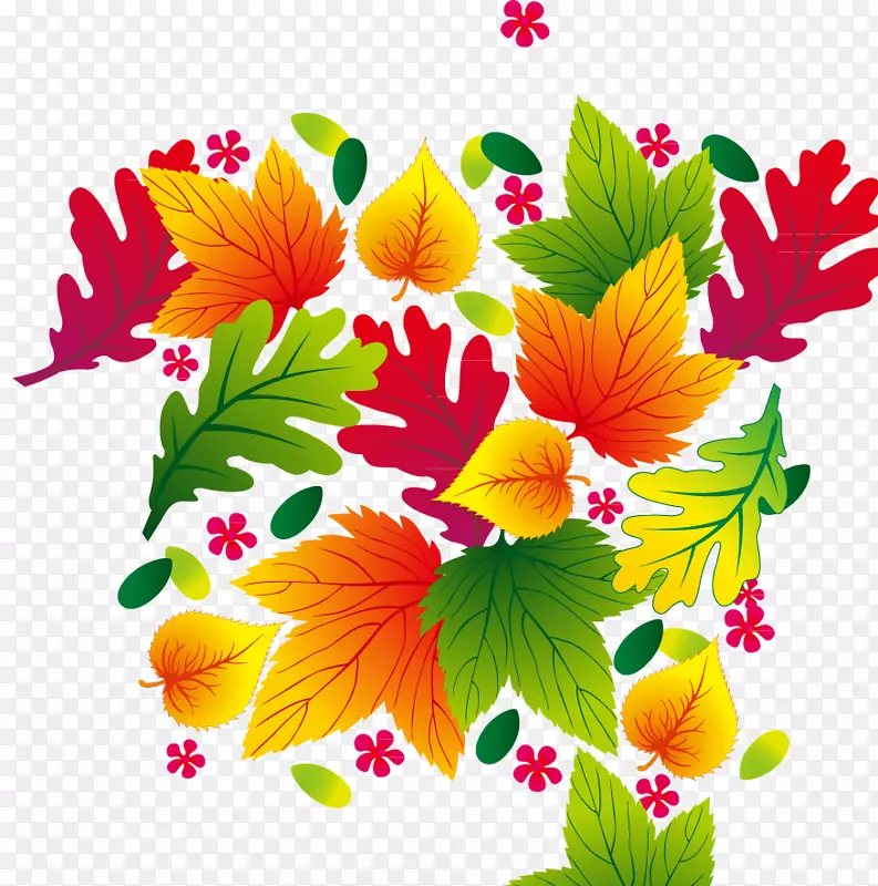 ��Ҷʸ���ز�-������