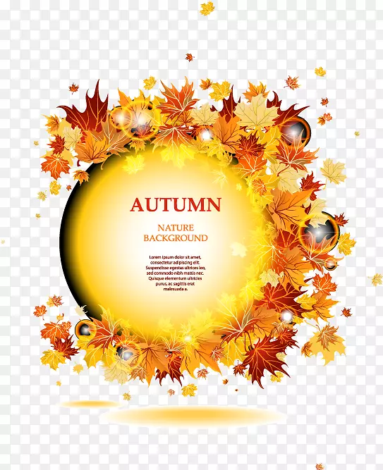 ����ʸ���ز�-������