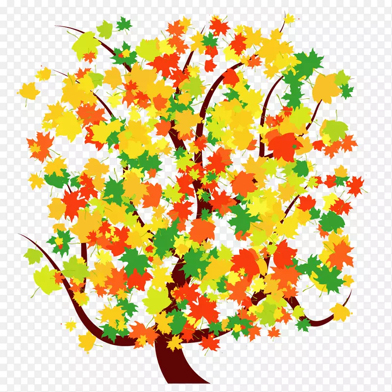 ��Ҷ��ʸ���ز�-������