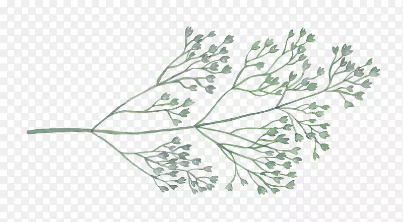 �ֻ����֦-������