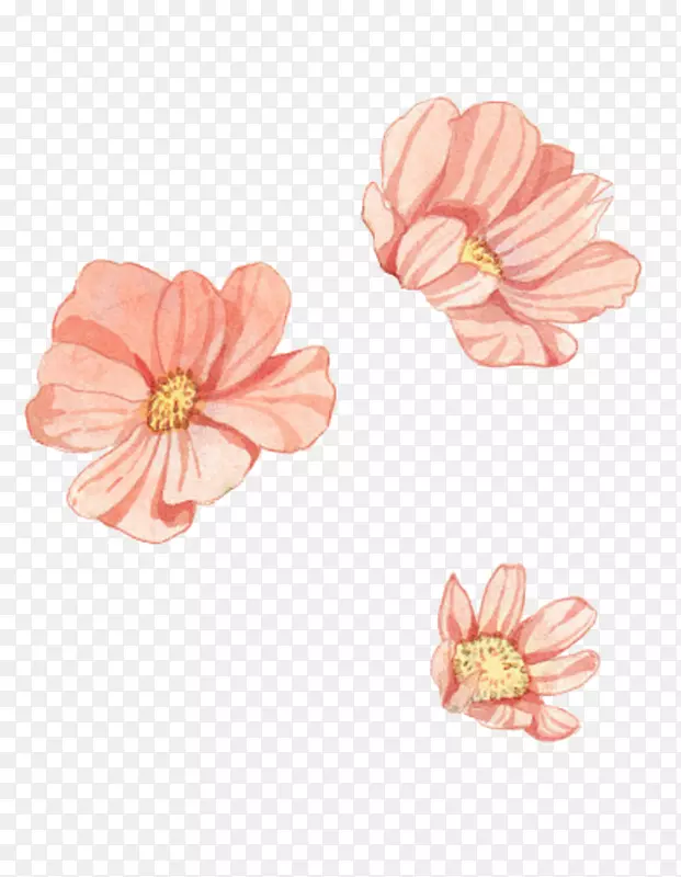 �ŷ绨��-������