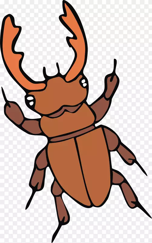 ��ͨ-������