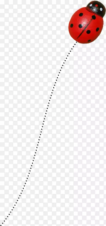 ����׳�-������