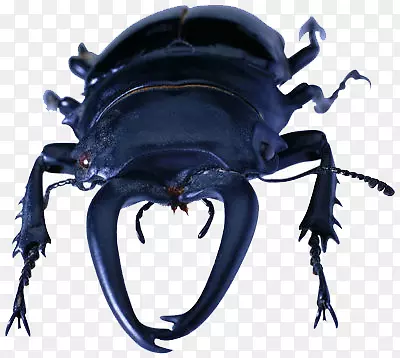 �׳涯��-������