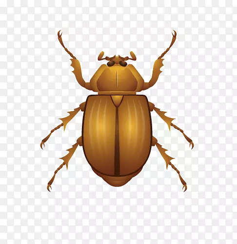 �׳�ʸ���ز�-������