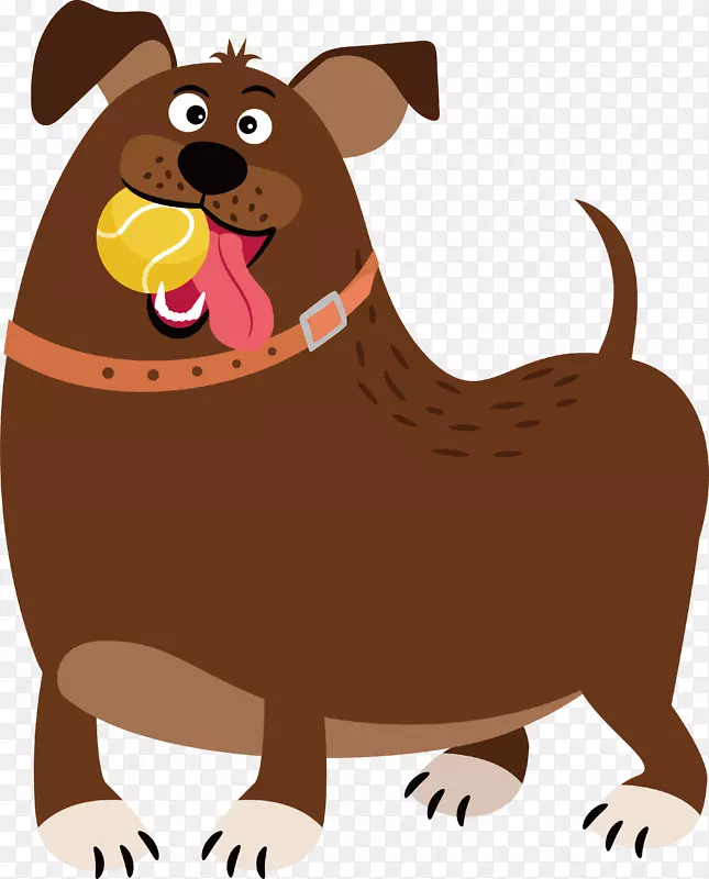 ��ͨ��ˣ�Ĺ�������-������