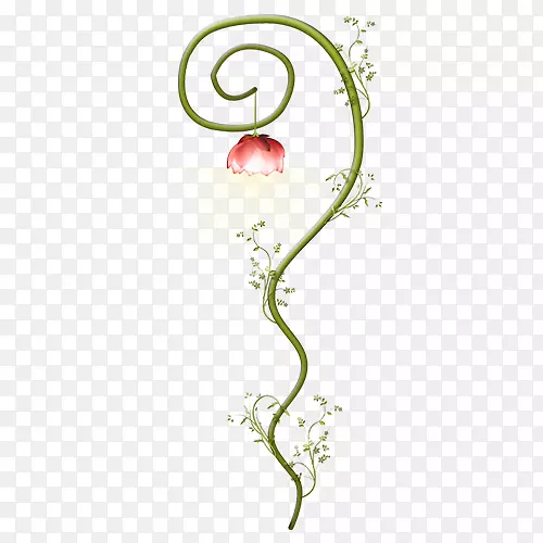 ��֦��������Ψ��-������