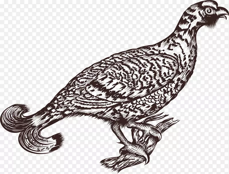 ��ͨ��������綯��װ�κ������-������