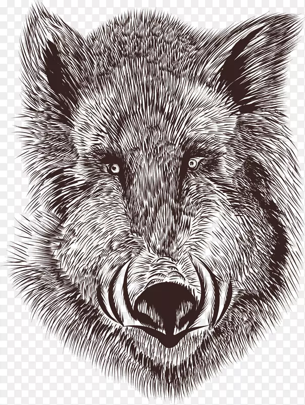 ��ͨ��������綯��װ�κ������-������