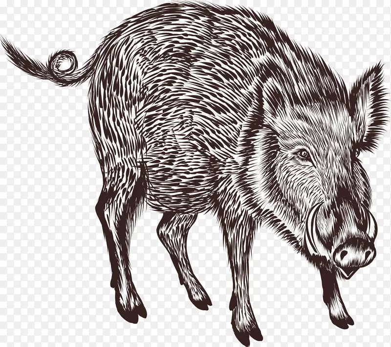 ��ͨ��������綯��װ�κ������-������