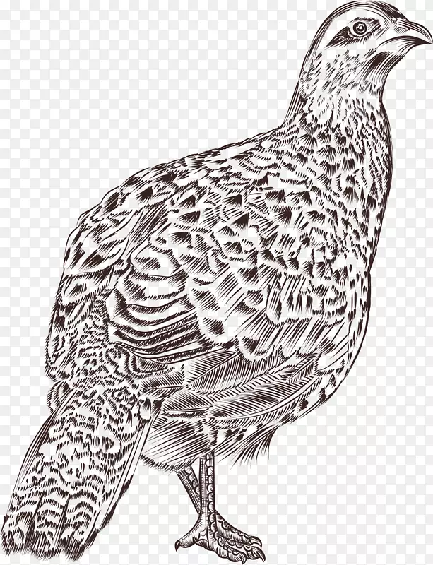 ��ͨ��������綯��װ�κ������-������