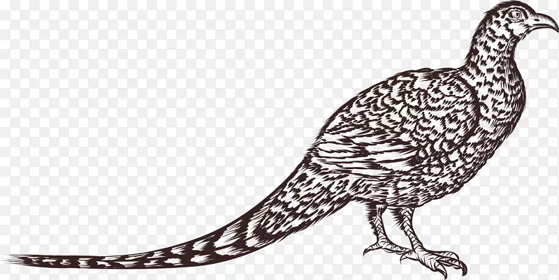 ��ͨ��������綯��װ�κ������-������